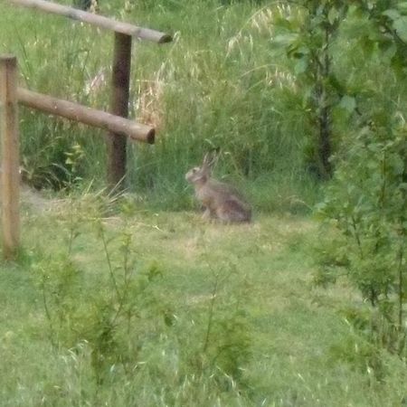 Il Cerchio Delle Fate Villa Torgiano Esterno foto