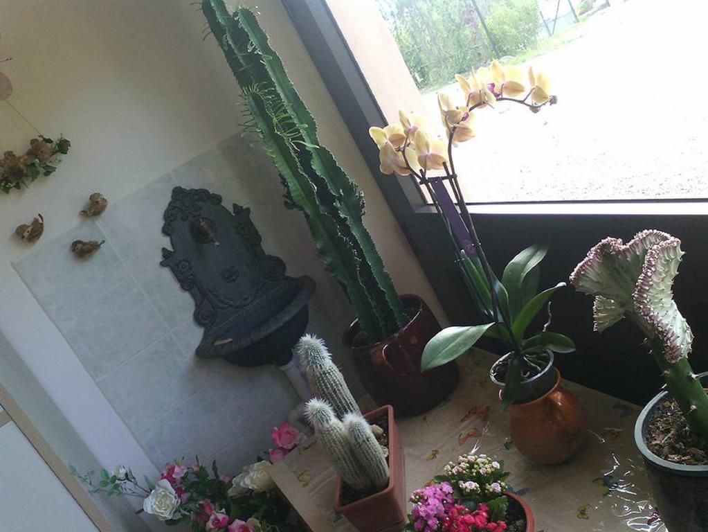 Il Cerchio Delle Fate Villa Torgiano Esterno foto